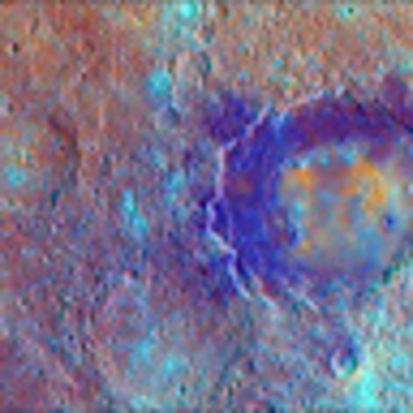 Meet your Posher, Bradley - Picture 1 of 1